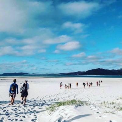 a group of people walking on a sandy beach