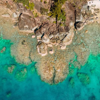 a close up of a rock
