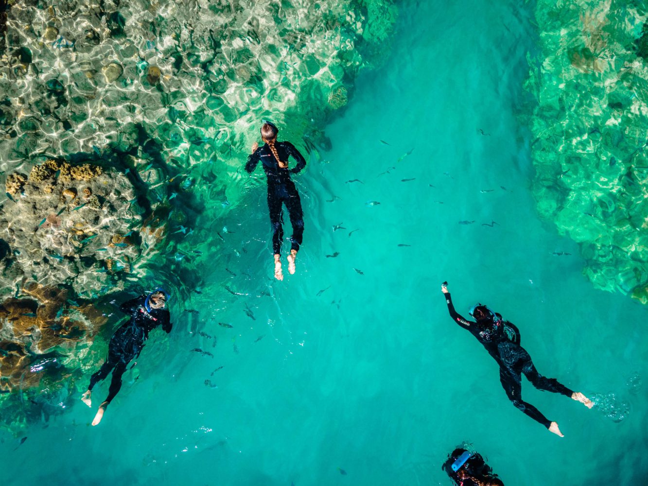 a person swimming in a pool of water